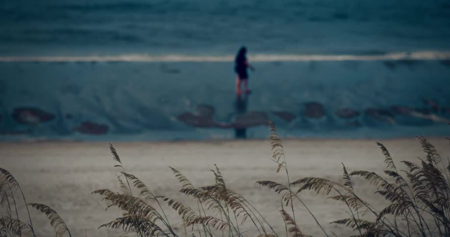 Person walks on the beach while plants in the nearby field wave in the breeze