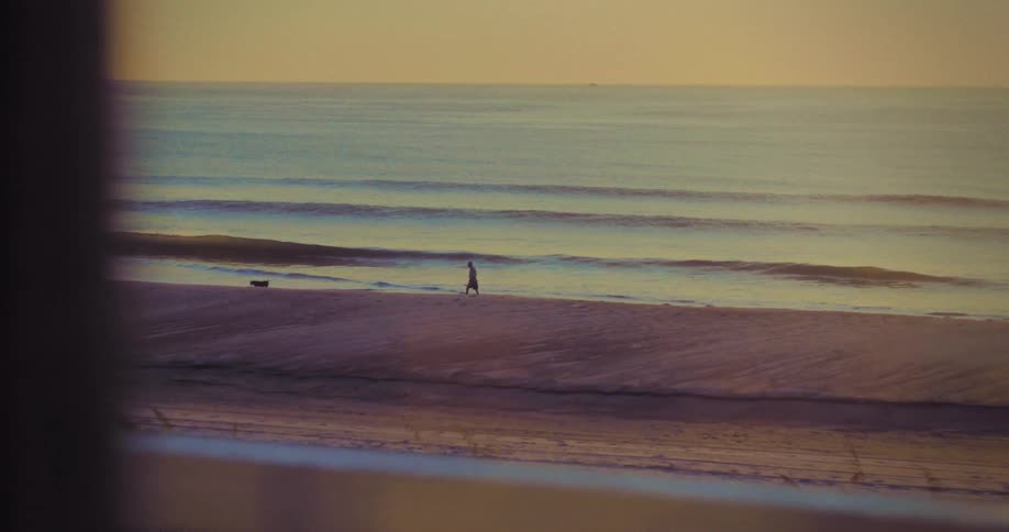 Person walks with a dog on the beach at sunrise
