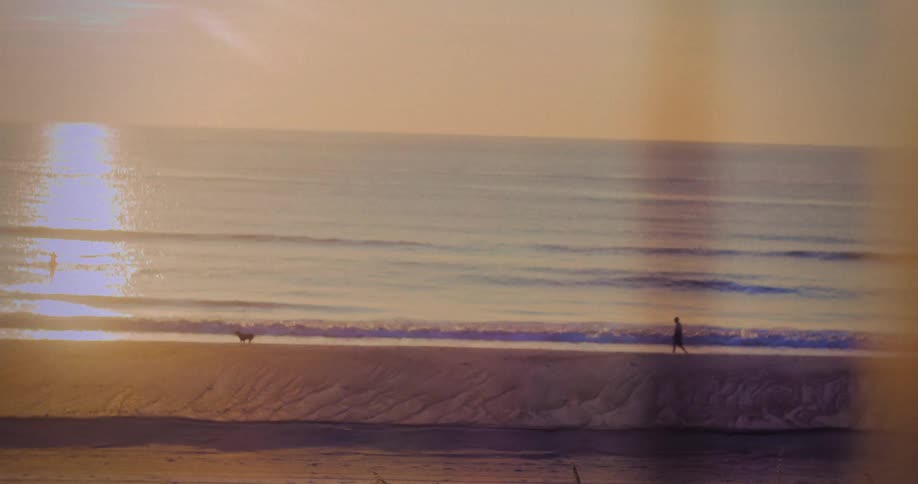 Two people walk with a dog along the beach at sunrise