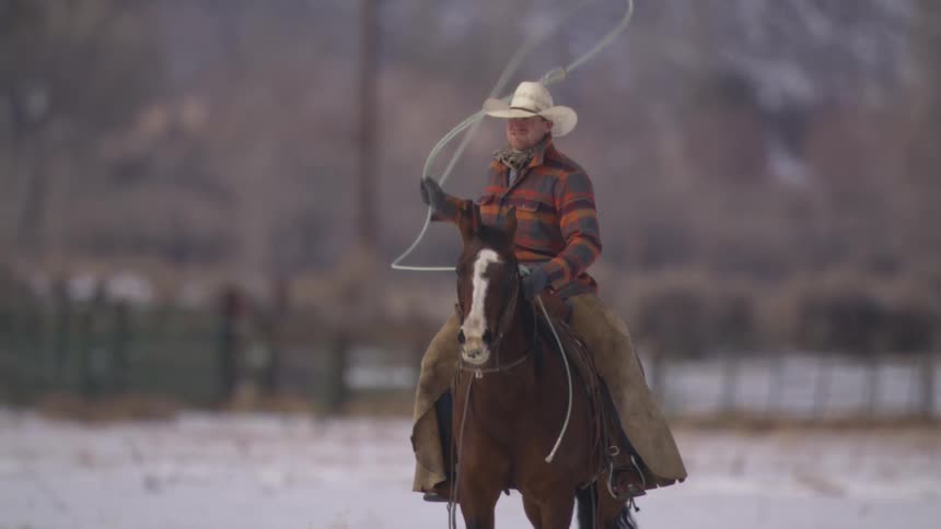 The cowboy swings a lasso on the horse
