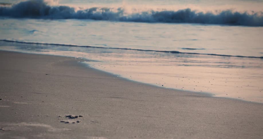 Waves roll into shore and over the beach