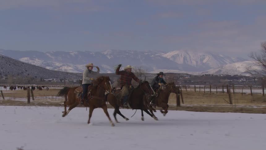 Three people race horses on the ranch