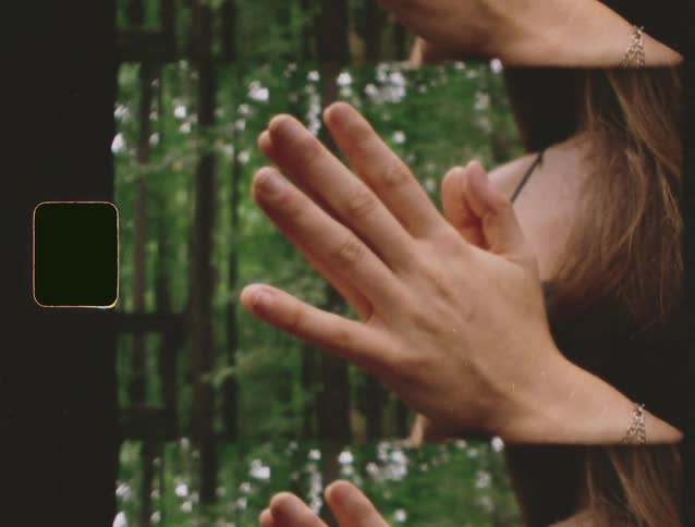 Hands held together in front of forest