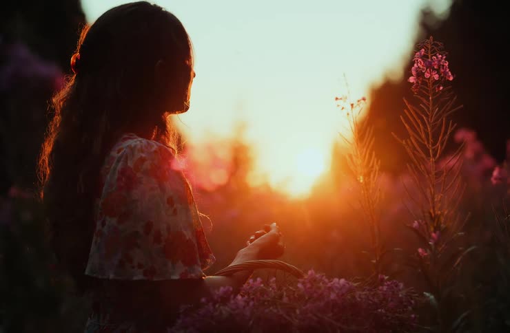 A woman with long hair sits in profile holding a basket filled with pink flowers she is silhouetted against a bright setting sun and tall wildflowers surround her