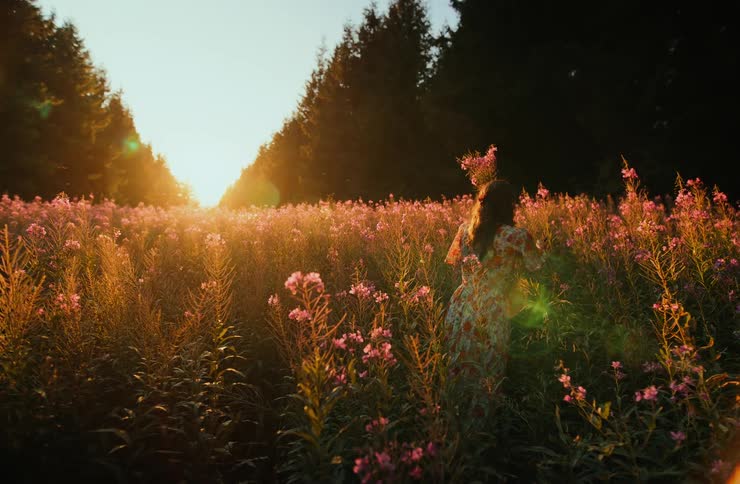 A woman picks flowers in a field filled with blooming plants at sunset