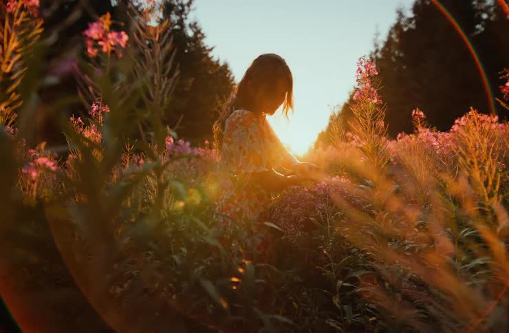 Woman among wildflowers is illuminated by the sunset light