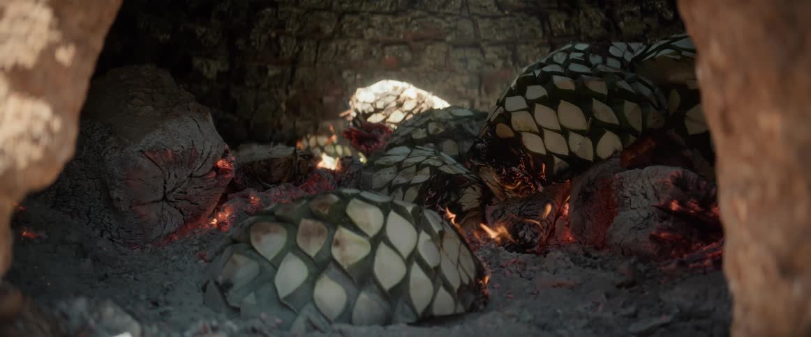 Hearts of agave plants lie in a large lit stone furnace during the daytime