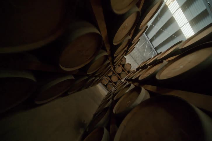 Wooden barrels line up in an aging warehouse under soft light