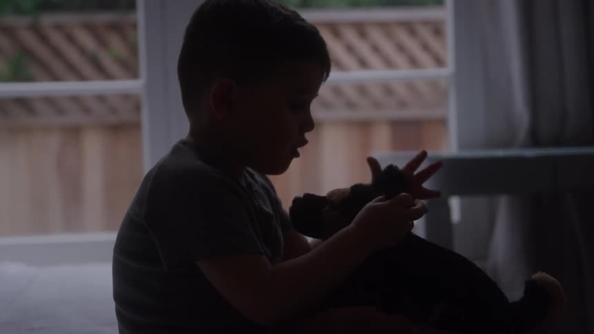 A young child sits indoors holding a stuffed dog the child moves the toy toward his face bright light enters through a window behind the child creating a dark silhouette