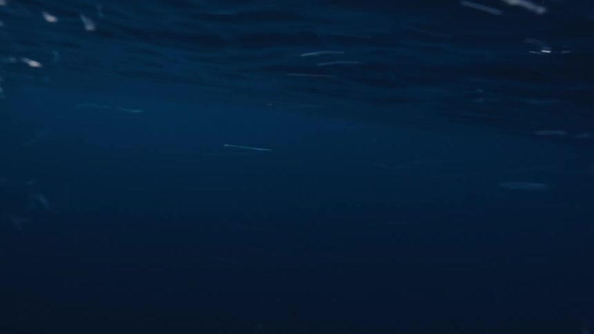 This video provides a view from just beneath the surface of the water showing the rapid and turbulent motion of waves breaking abovethe upper portion of the frame is dominated by a foamy bright white wave crest contrasting with the dark blue calme