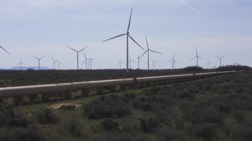 A wide view shows a long beige pipeline running over green scrubland with many large white wind turbines rotating under a clear blue sky in the background