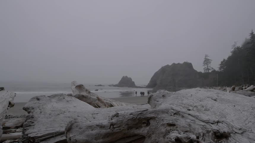 A rocky beach on a cloudy day
