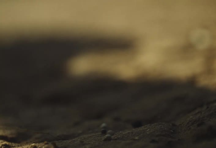 A sunlit patch of rough dry soil with an overhead shadow