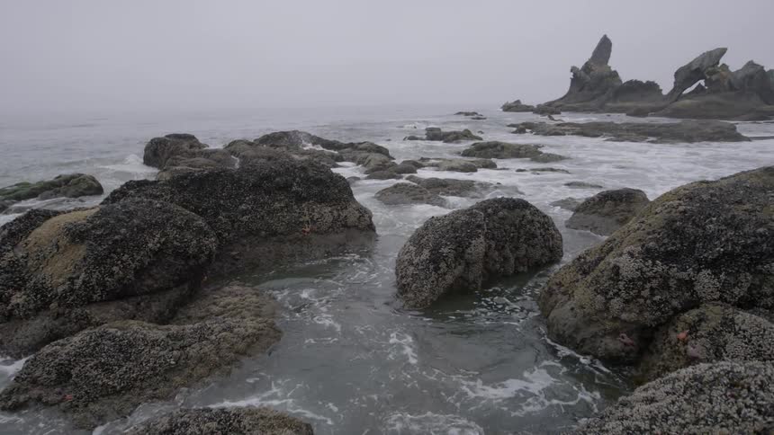 Waves crash against the rocks