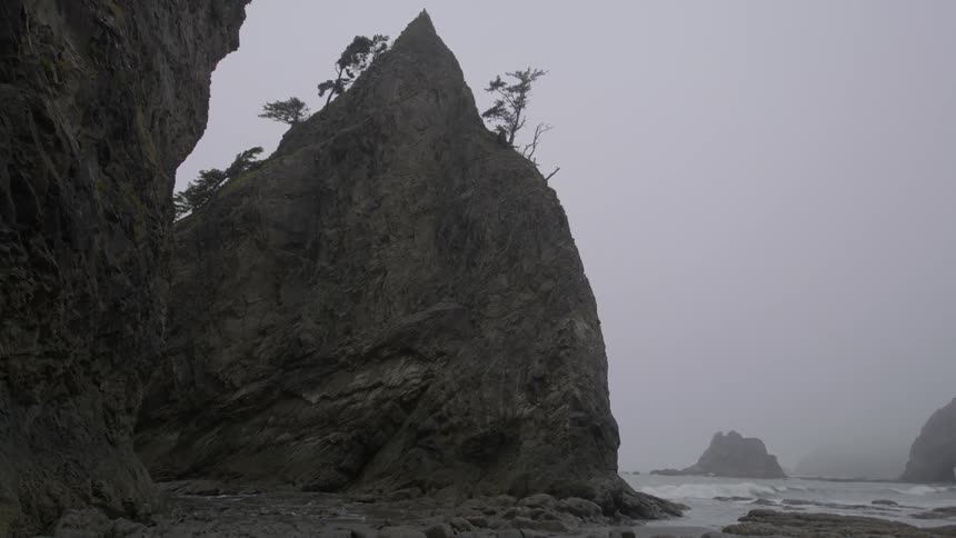 Trees grow at the top of a beach rock formation