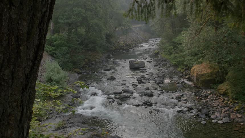 Rapids run through the wilderness