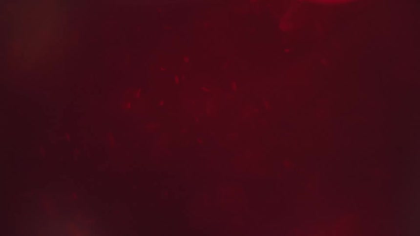 Red gemstones float in water