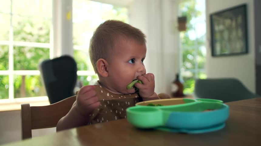 The baby lifts the broccoli up this mouth