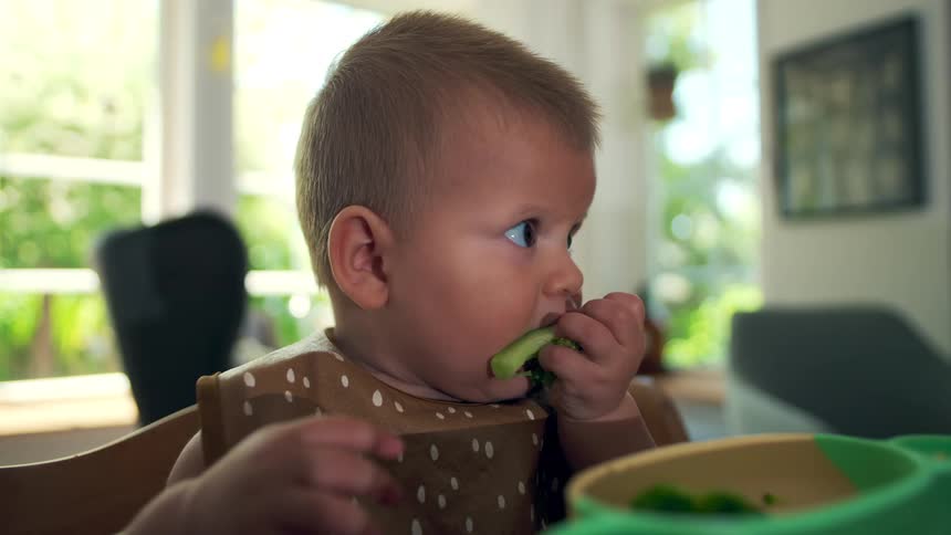 The baby is eating broccolli