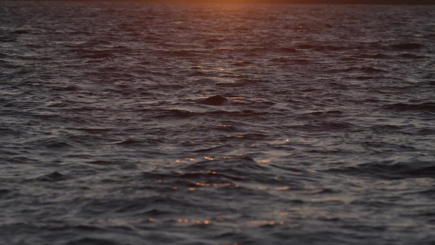 Sunset over the water