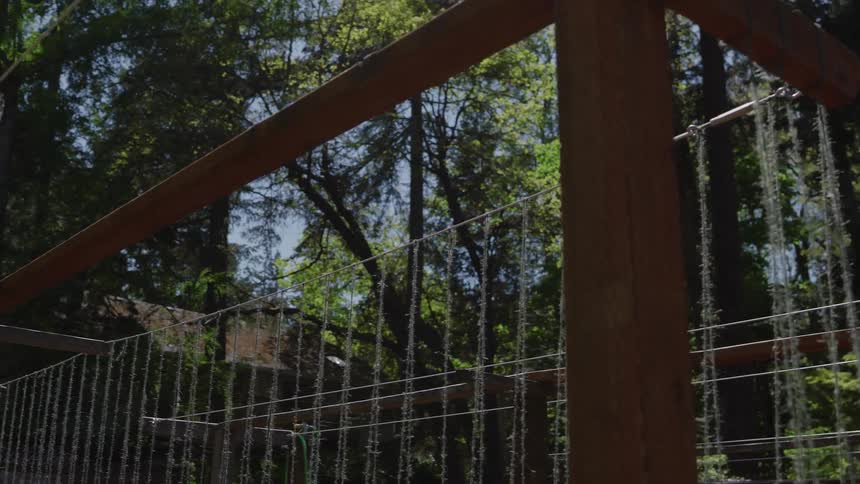 Grid of wooden beams with hanging strings surrounded by trees in a forest