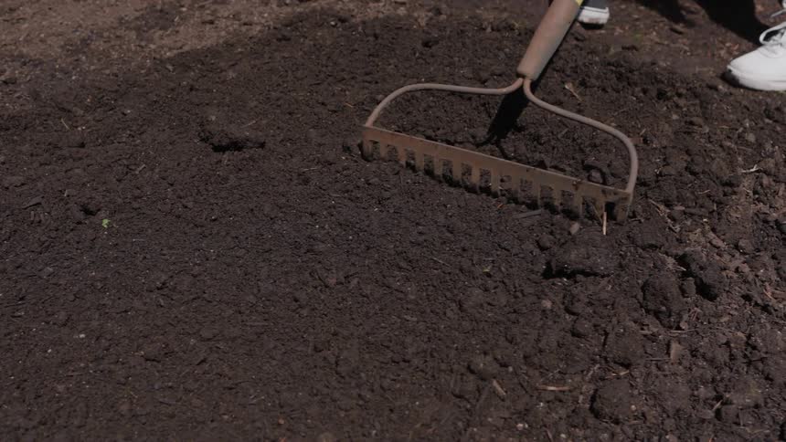 A closeup view focuses on a rake being pulled across a large pile of dark rich soil the action is smoothing and spreading the soil in preparation for gardening or planting