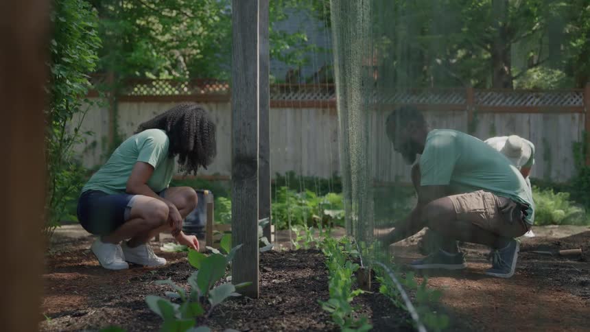 A man and woman gardening in a yard