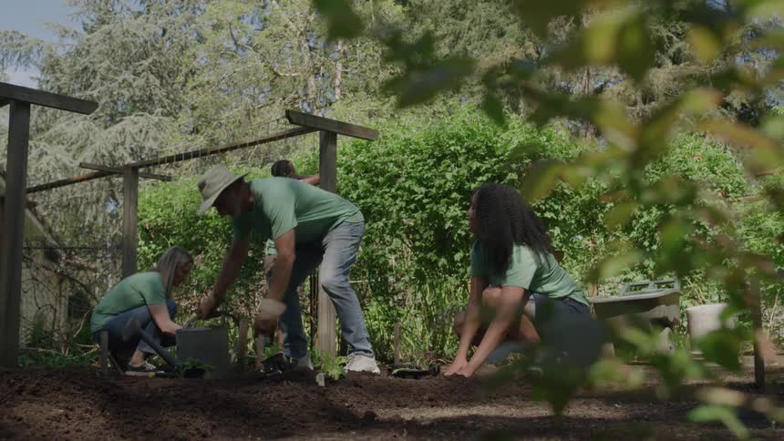 Four people wearing matching green shirts are actively engaged in gardening tasks on a sunny day in a cleared garden plot next to a wooden trellis with two women crouching to plant in the foreground and one man with water can
