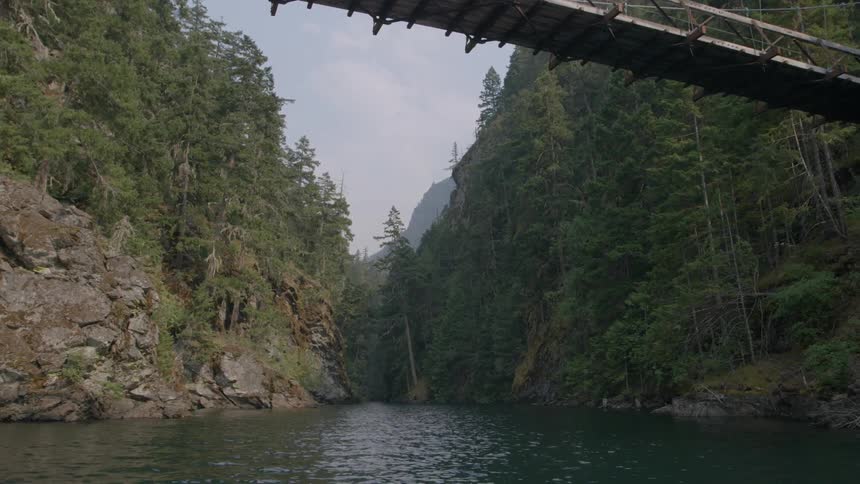 Wide river in between forest wilderness