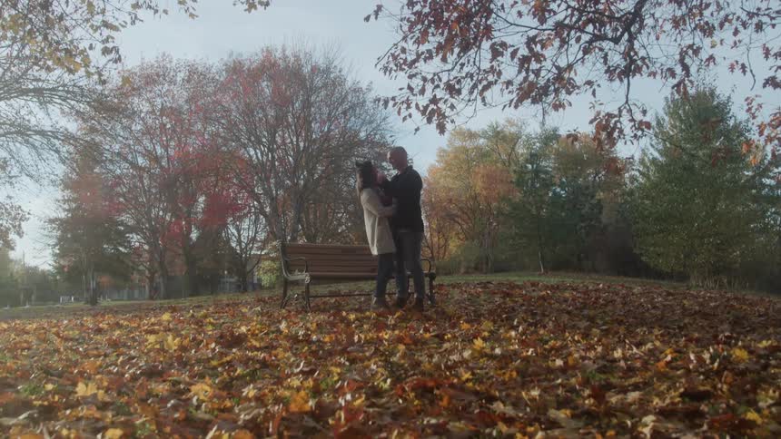 Couple standing and embracing near a wooden park bench on a small leafcovered hillthe scene is set in a park during autumn with warmtoned foliage on the surrounding trees and a bright sky overhead