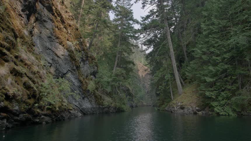 Trees and cliffs surround a forest river