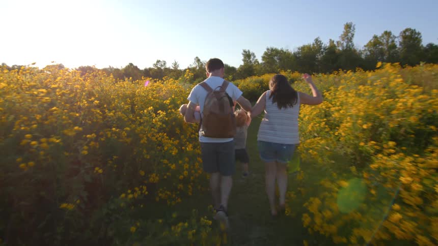 Young family and thier toddler walking through a field of wildflowers