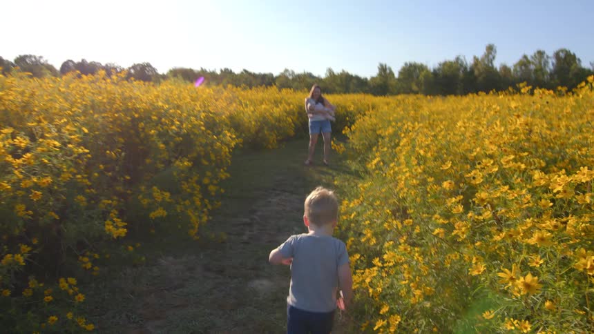 A small young boy in a grey shirt as he runs joyfully down a narrow dirt path toward a standing woman holding a baby all framed between tall bright yellow wildflowers under a clear sunny sky