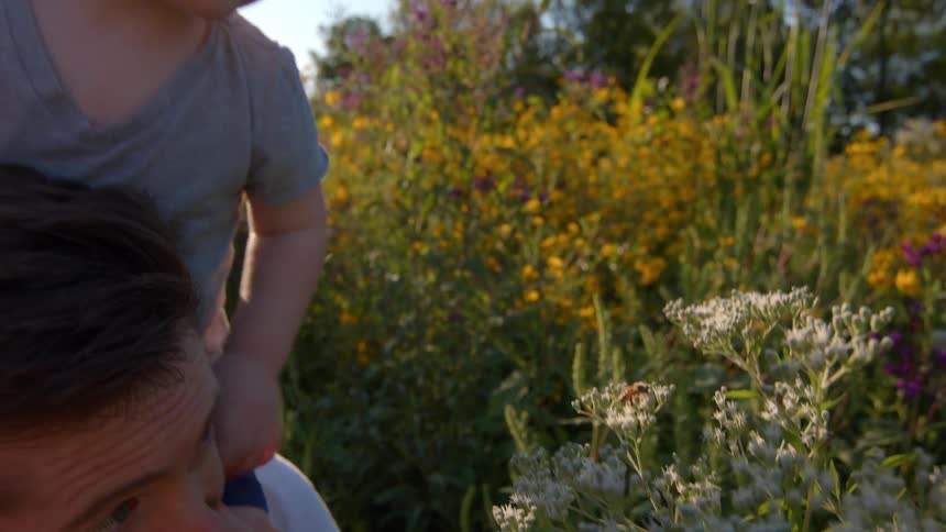 A smiling father points to a flower and his young son mirrors the gesture pointing to the same bloom