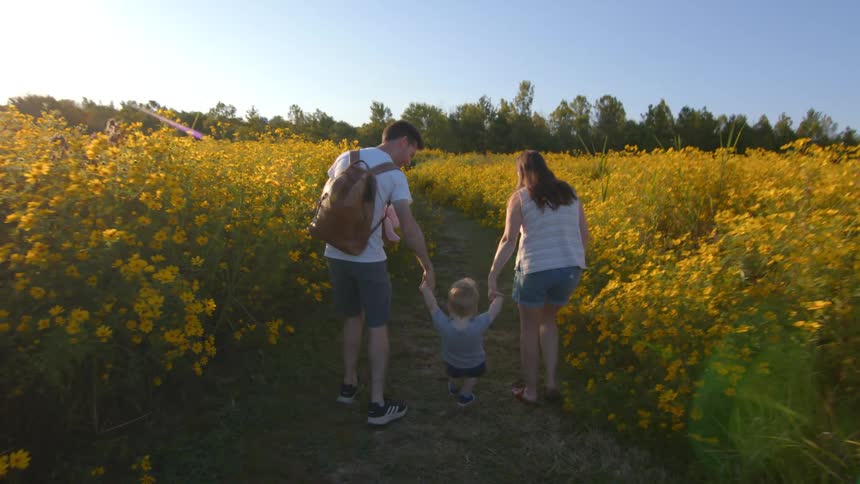Family walking through a field of yellow flowers at sunset