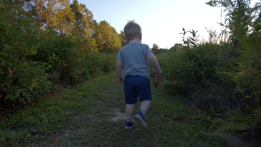 Little boy holding a dry leaf while walking outdoors