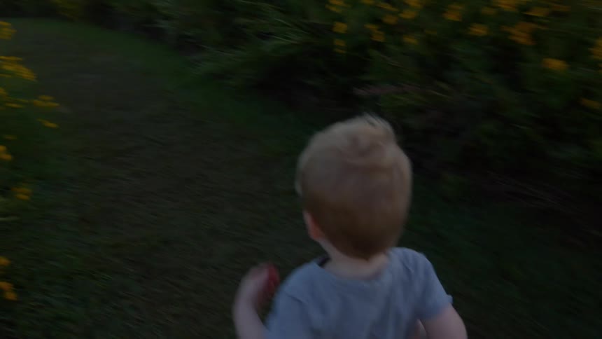 The boy runs ahead of his family on the meadow
