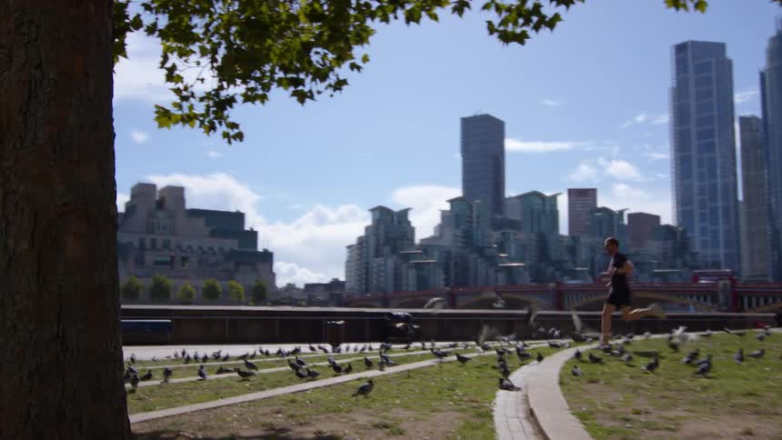 Man running on a park surrounded by pigeons with a metropolitan city area on the background during day time