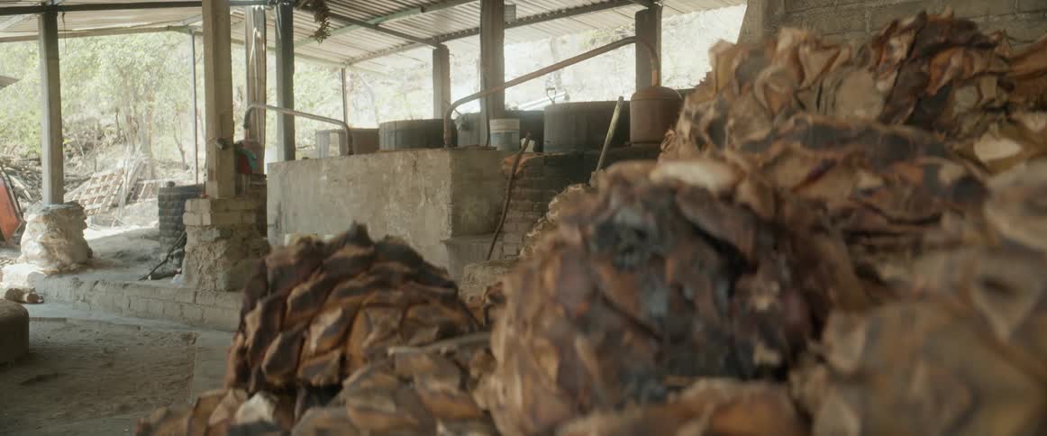 A production or distillery setting likely for agavebased spirits like mezcal or tequila characterized by an openair shed structurethe foreground is dominated by large piles of harvested agave hearts pias while the background shows concrete vats