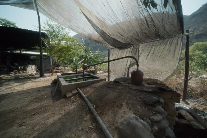 Outdoor artisanal distillery covered by a translucent tarp near the mountains