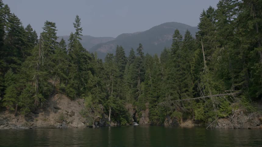 Lake surrounded by trees and mountains