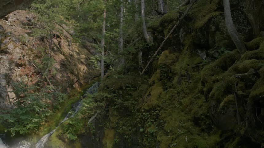 Waterfall coming down the hill in forest into river