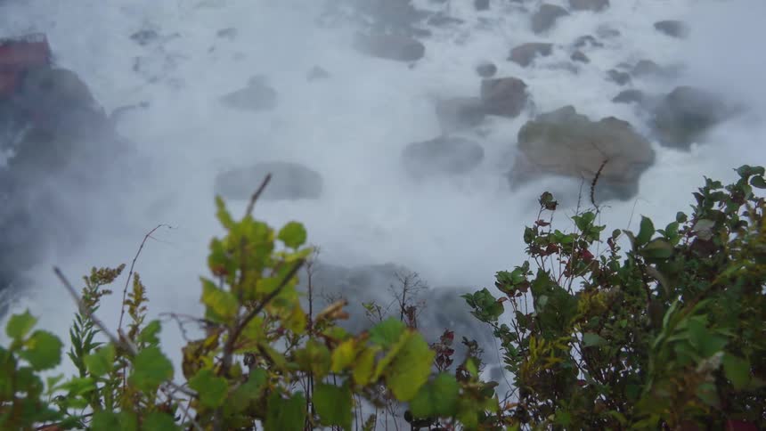 Foam and mist from the waters cover rocks beneath damp vegetation