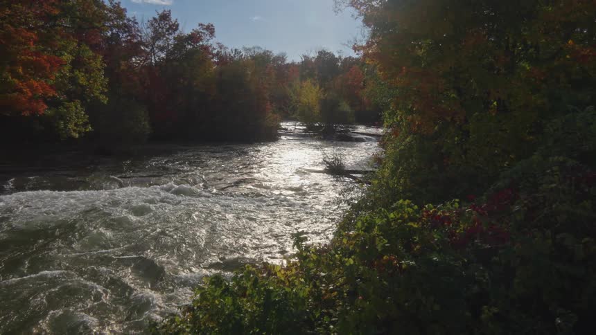 Water streams past a fall forest