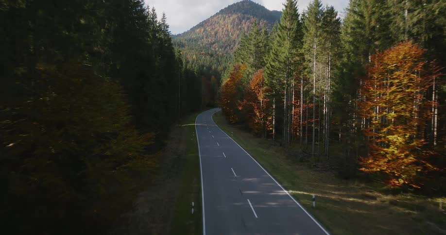 Aerial view of a freeway through the forest with trees in bright fall colors and a mountain in the distance
