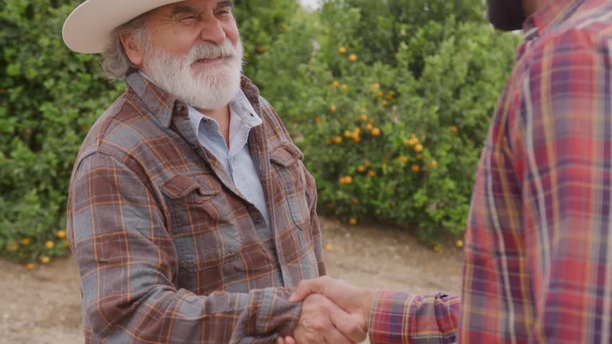 Two men shake hands on a business deal in a sunny citrus orchard