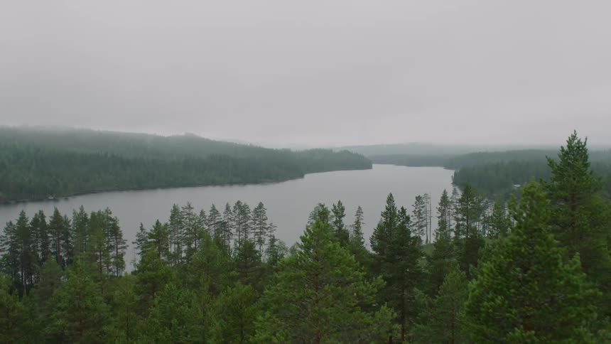 The dense forest leads to a lake