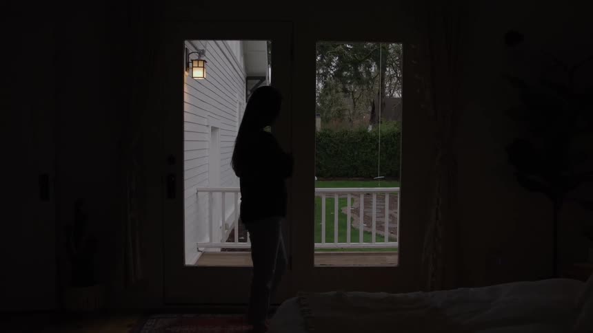 A figure is seen in silhouette from inside a dark room walking across the brightly lit glass french doors that look out onto a white porch and green lawn creating a strong contrast between the indoor darkness and the outdoor daylight
