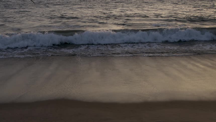 Gentle ocean waves break on a wet sandy beach as a seagull flies low across the water