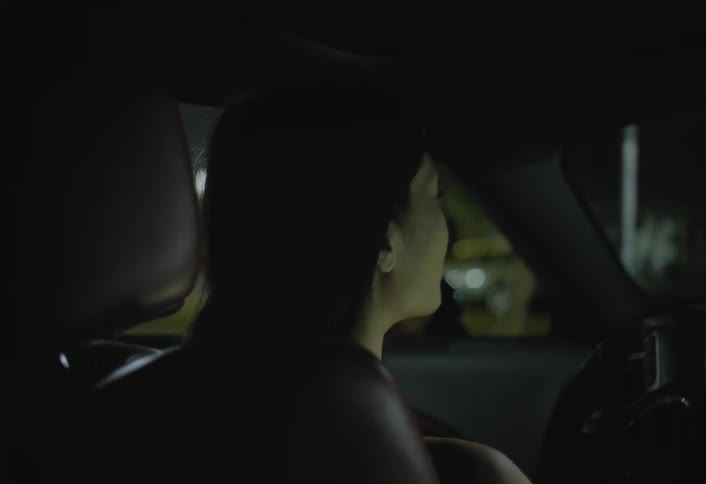 This clip shows an overtheshoulder view of a person driving a car at night in an urban areathe driver mostly silhouetted by the low light looks around and speaks briefly illuminated only by occasional passing streetlights and reflections